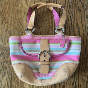 Coach Pastel Striped Hampton Small Buckle Purse